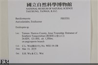 館號:F0035501藏品圖，第2張
