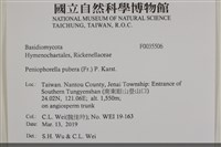 登錄號:F0035506藏品圖，第2張