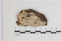 登錄號:F0035506藏品圖，第1張