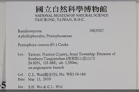 登錄號:F0035507藏品圖，第2張