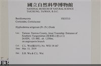 剛毛絲皮菌藏品圖，第2張