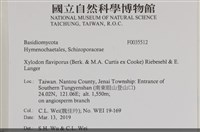 登錄號:F0035512藏品圖，第2張