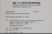 登錄號:F0035514藏品圖，第2張