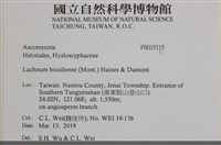 登錄號:F0035515藏品圖，第2張