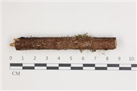 登錄號:F0035515藏品圖，第1張