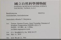 登錄號:F0035516藏品圖，第2張