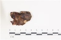 登錄號:F0035516藏品圖，第1張