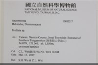 登錄號:F0035517藏品圖，第2張