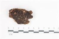 登錄號:F0035517藏品圖，第1張
