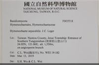 登錄號:F0035518藏品圖，第2張