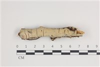 登錄號:F0035519藏品圖，第1張