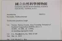 登錄號:F0035521藏品圖，第2張
