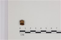 登錄號:F0035521藏品圖，第1張