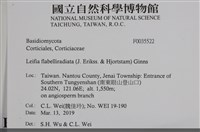 登錄號:F0035522藏品圖，第2張