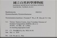 登錄號:F0035523藏品圖，第2張