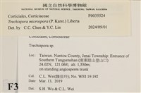 登錄號:F0035524藏品圖，第2張