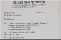 登錄號:F0035524藏品圖，第3張