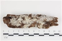 登錄號:F0035524藏品圖，第1張