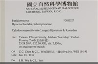 登錄號:F0035527藏品圖，第2張