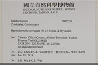 登錄號:F0035529藏品圖，第2張
