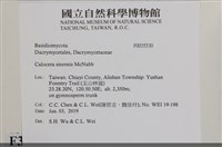 登錄號:F0035530藏品圖，第2張