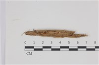 登錄號:F0035530藏品圖，第1張