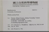 登錄號:F0035531藏品圖，第2張