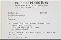 射脈菌屬藏品圖，第2張