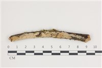 登錄號:F0035533藏品圖，第1張
