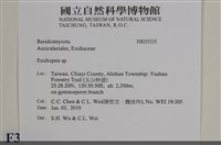 登錄號:F0035535藏品圖，第2張