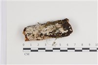 登錄號:F0035535藏品圖，第1張