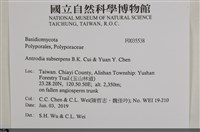 登錄號:F0035538藏品圖，第2張