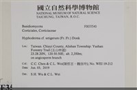 登錄號:F0035540藏品圖，第2張