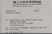 登錄號:F0035541藏品圖，第2張