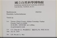 登錄號:F0035542藏品圖，第2張