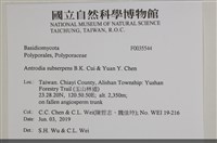 登錄號:F0035544藏品圖，第2張