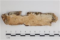 登錄號:F0035544藏品圖，第1張