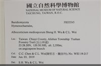 登錄號:F0035545藏品圖，第2張