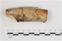 登錄號:F0035545藏品圖，第1張