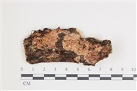登錄號:F0035547藏品圖，第1張