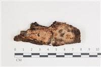 登錄號:F0035548藏品圖，第1張
