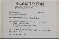 登錄號:F0035549藏品圖，第2張