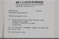 登錄號:F0035550藏品圖，第2張