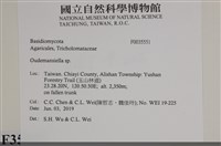 登錄號:F0035551藏品圖，第2張