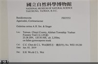 登錄號:F0035552藏品圖，第2張