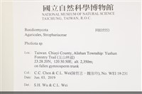 登錄號:F0035553藏品圖，第2張