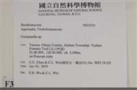 登錄號:F0035554藏品圖，第2張