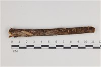 登錄號:F0035554藏品圖，第1張