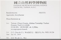 登錄號:F0035556藏品圖，第2張