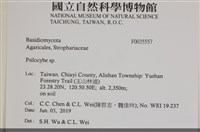 登錄號:F0035557藏品圖，第2張